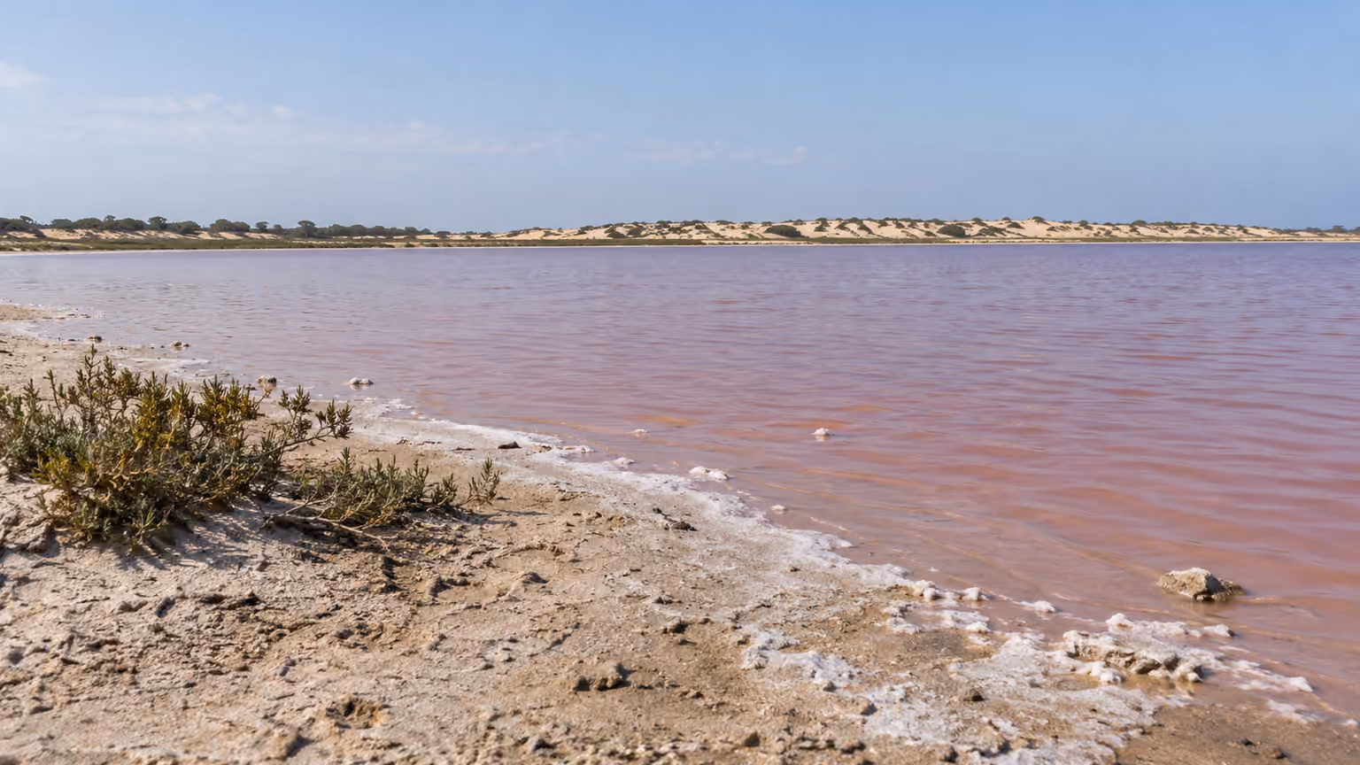 A sandy Lake Retba shoreline with muted rose-colored brine and pale distant dunes in soft morning